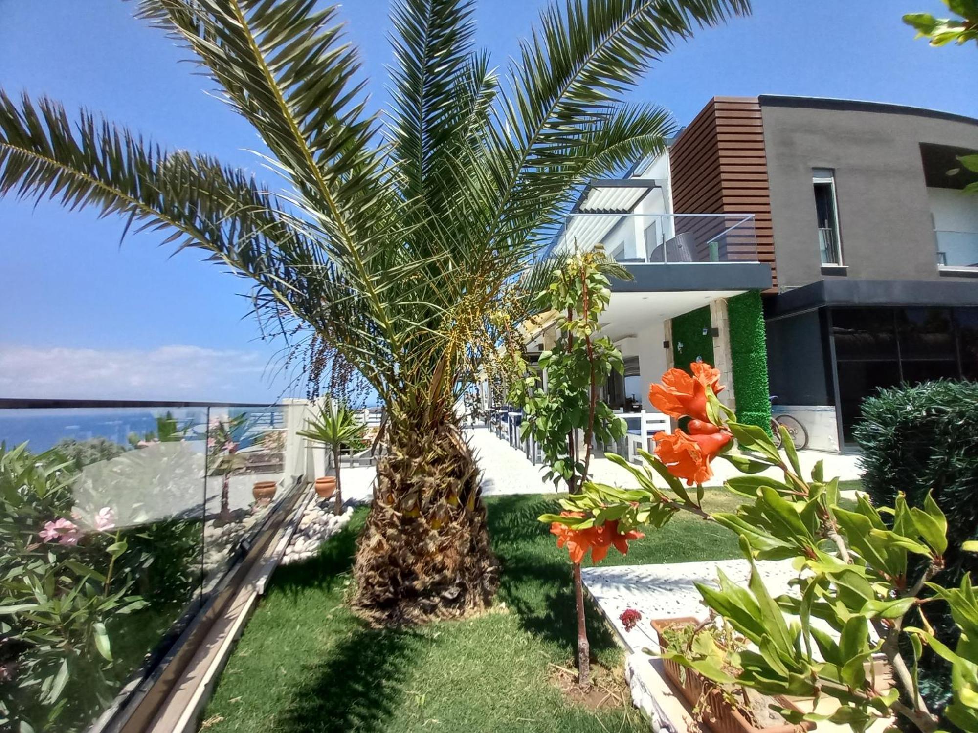Mavi Panorama Villa Чесме Екстериор снимка